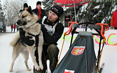 Foto: Monika Stawowczyk / Frauenwald - Niemcy