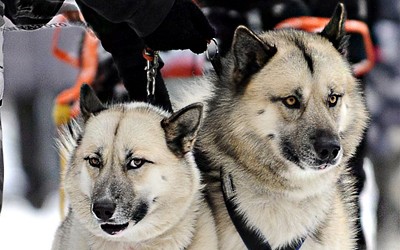 Foto: Anna Kawala Konik