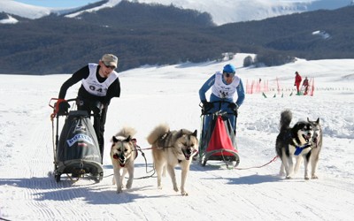 Foto: Waskowski Team