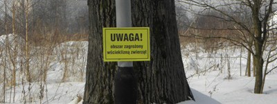 Foto: umk