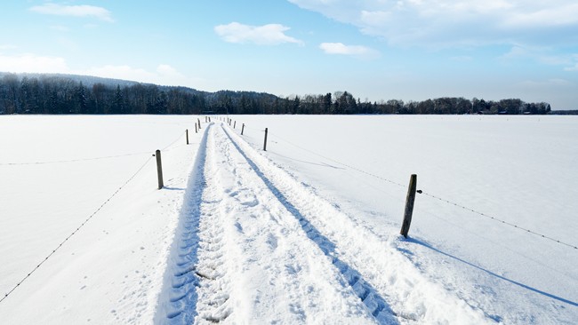O śnieżnej aurze możemy zapomnieć