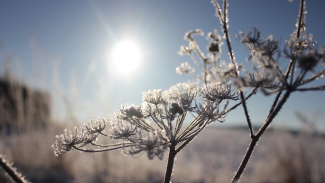 Temperatura spadnie nawet do -8 stopni