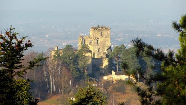 Zamek Kamieniec w Odrzykoniu