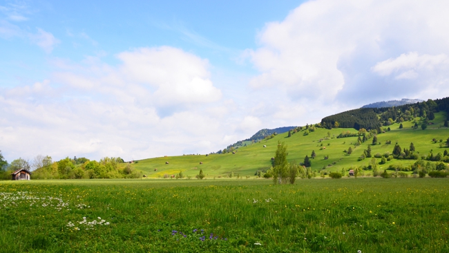 W czwartek przejdzie nad nami kolejny front atmosferyczny, tym razem chłodny. Będzie przelotnie padać