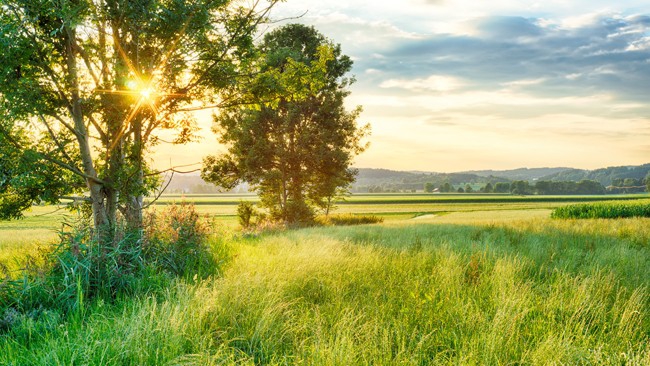 W poniedziałek Podkarpacie całodobowo pozostanie na skraju wyżu. Będzie słonecznie i ciepło