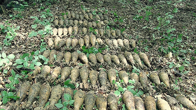 Fot. materiały policji