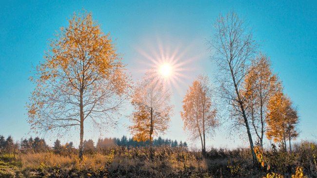 W niedzielę pozostaniemy w ciepłym powietrzu polarno-morskim