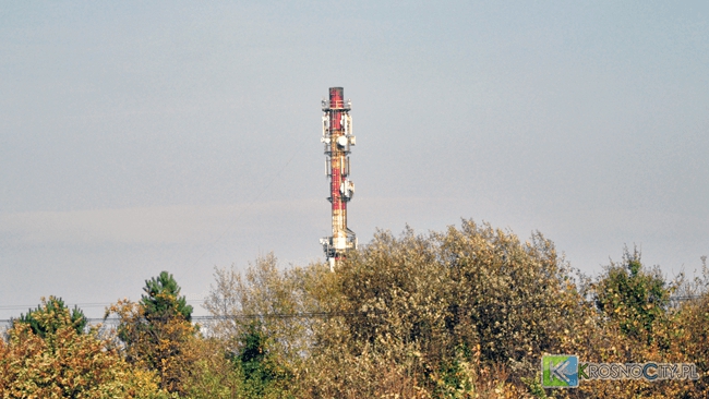 zdjęcie ilustracyjne