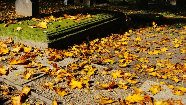 zdjęcie ilustracyjne