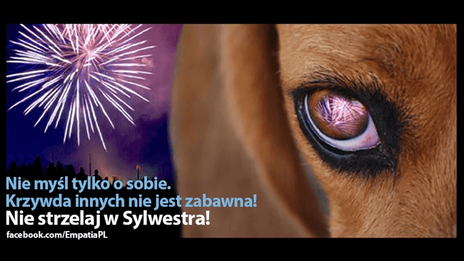 Źródło: Stowarzyszenie Empatia