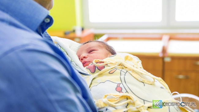 Jaś - Pierwszy Krośnianin 2015