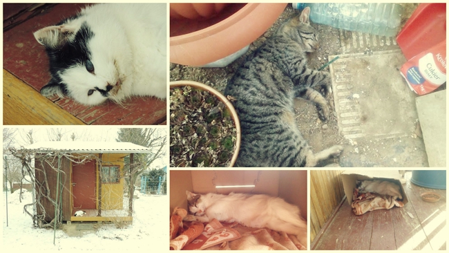 Źródło: OTOZ Animals Krosno