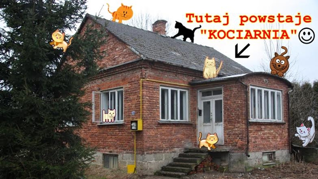Fot. OTOZ Animals Krosno