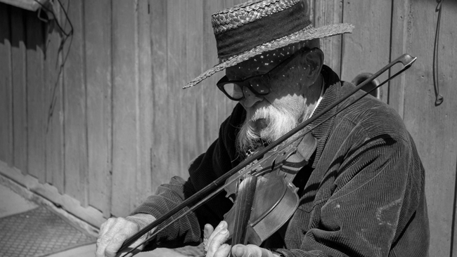 Władysław Kandefer