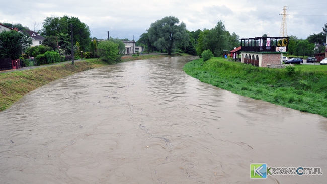 Rzeka Wisłok w Krośnie