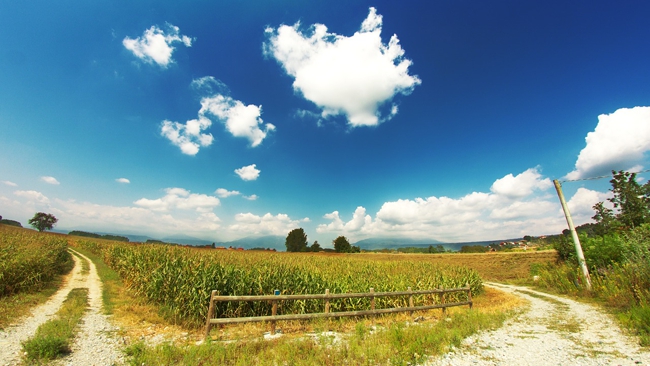 zdjęcie ilustracyjne