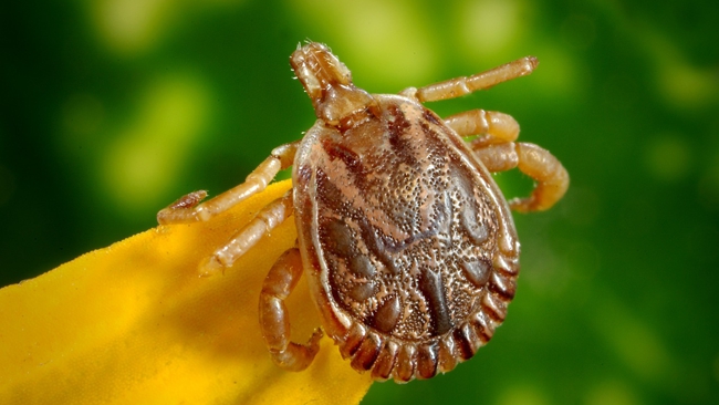 zdjęcie ilustracyjne