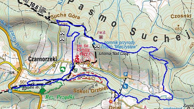 arch. Fundacja Razem z Psem