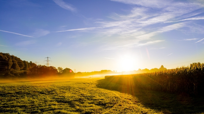 Od czwartku zacznie napływać powietrze zwrotnikowe. W środę ciepło, ale nie gorąco.