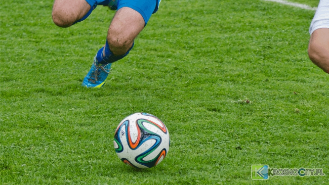 zdjęcie ilustracyjne