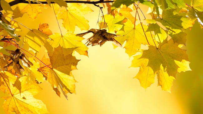 W czwartek napłynie gorące powietrze znad Afryki. Temperatura przekroczy 29°C.