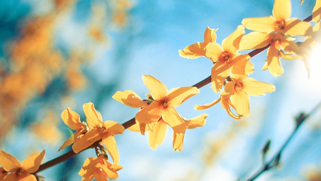 Od soboty zacznie napływać ciepłe powietrze polarno-morskie. Popołudniami będzie powyżej 20°C.