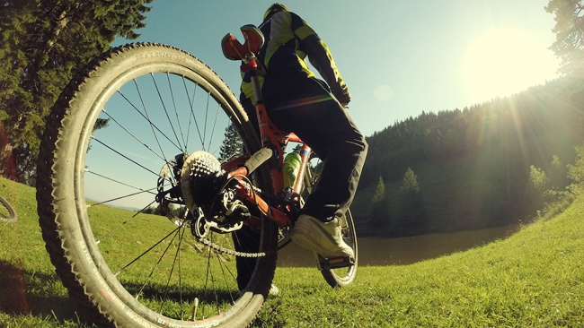 zdjęcie ilustracyjne