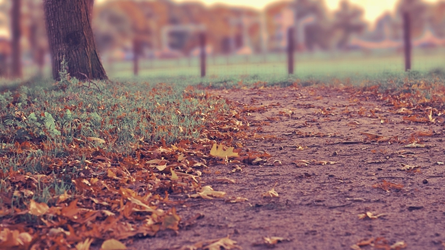 W piątek w ciągu dnia będzie dość ciepło i pojawią się przejaśnienia. Weekend jednak wilgotny, z opadami deszczu.
