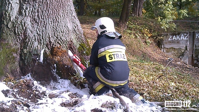 Fot. Radosław Sowiński / Krosno112.pl