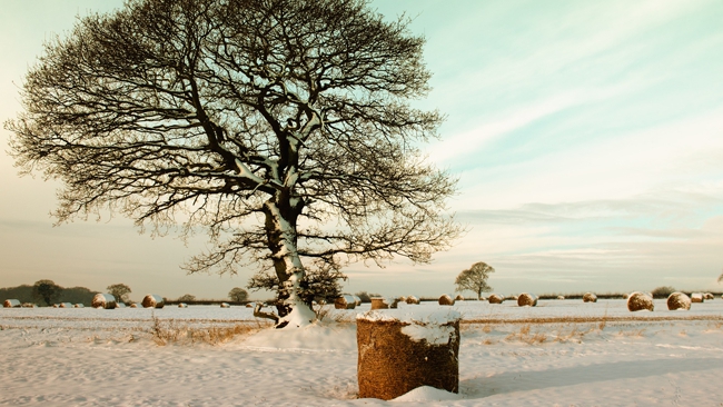 W weekend niskie ciśnienie. Okresami będzie padać.