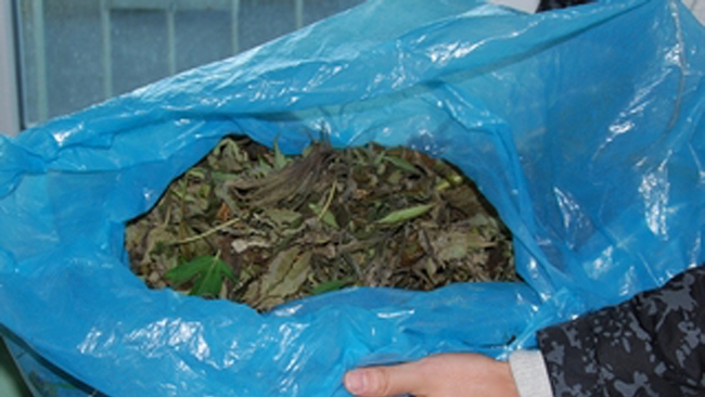 Fot. materiały KMP Krosno