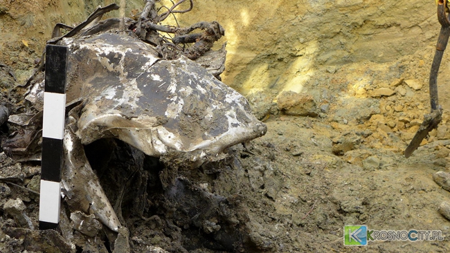 Fot. Marek Gransicki