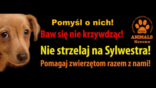 Fot. OTOZ Animals Krosno