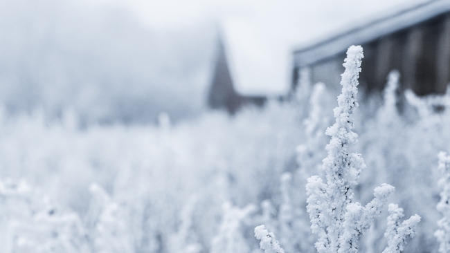 a początku tygodnia będziemy w zasięgu wyżu, w mroźnej masie powietrza arktycznego. Przelotnie popada śnieg.