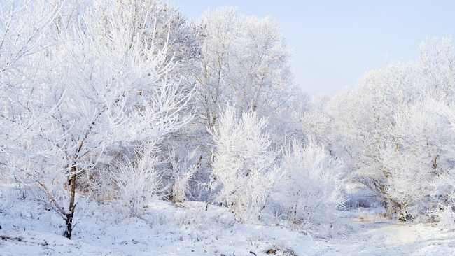 W połowie tygodnia będziemy pod wpływem niżu. Wciąż napływać będzie mroźne, arktyczne powietrze.