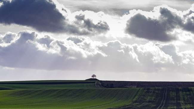 W środę blisko 20°C, czwartek będzie chłodniejszy. Lokalnie wystąpią przelotne opady deszczu i burze.