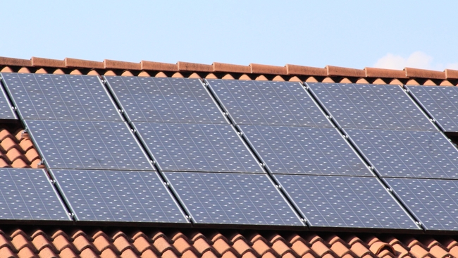 zdjęcie ilustracyjne