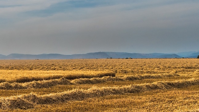 Słońce, upał i noc tropikalna. We wtorek wzrośnie prawdopodobieństwo burz.