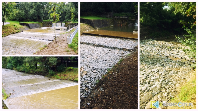 Fot. Rafał Głód / czytelnik