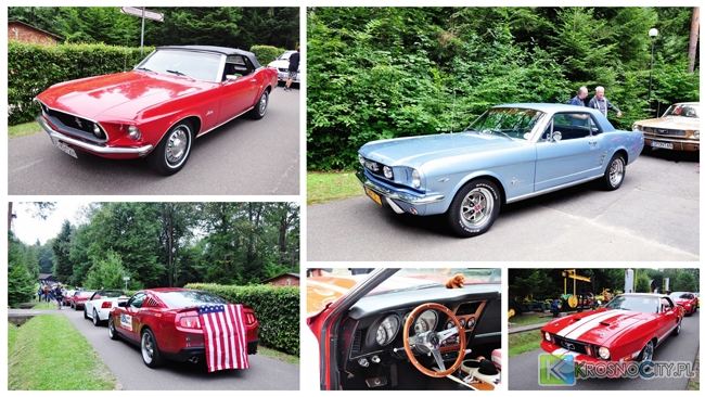 Fot. Piotr Dymiński