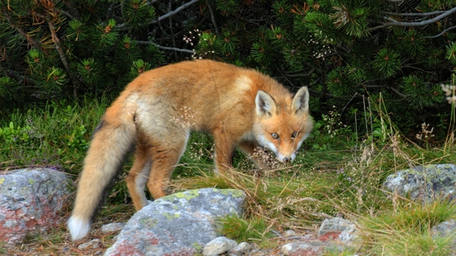 zdjęcie ilustracyjne