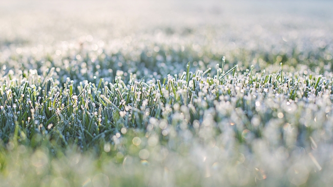 W sobotę nad ranem temperatura spadnie lokalnie do -1°C. W ciągu dnia trochę cieplej.
