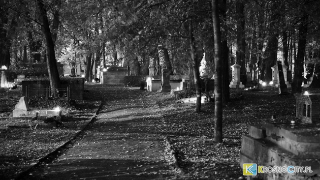 zdjęcie ilustracyjne