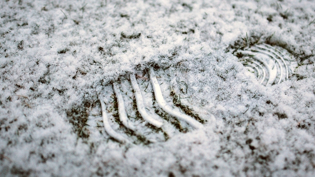 Na początku tygodnia przelotne opady śniegu, chłód i porywisty wiatr.