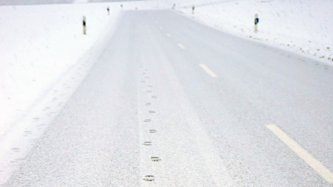 zdjęcie ilustracyjne