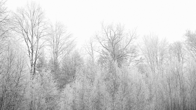 W przyszłym tygodniu zimy ciąg dalszy. W poniedziałek i wtorek słabo popada.