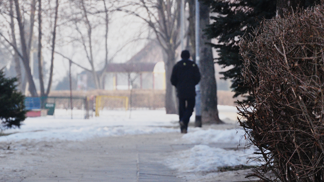 zdjęcie ilustracyjne