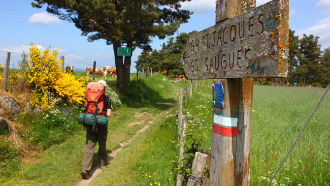 Fot. archiwum Łukasz Supergan