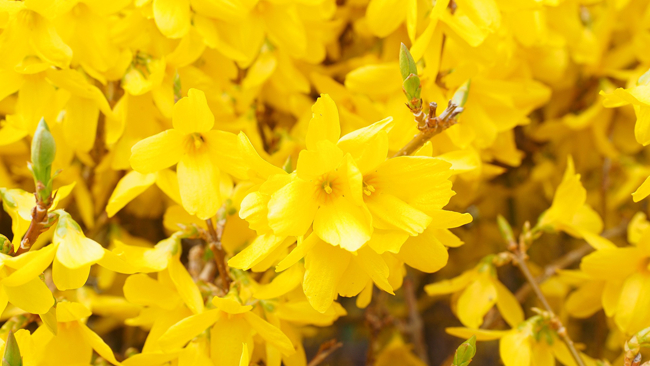 We wtorek zrobi się naprawdę ciepło. Będzie coraz więcej słońca.
