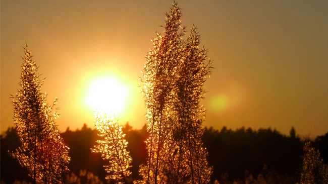 Przed nami piękny, wiosenny weekend. Popołudniami wyraźnie powyżej 20°C.